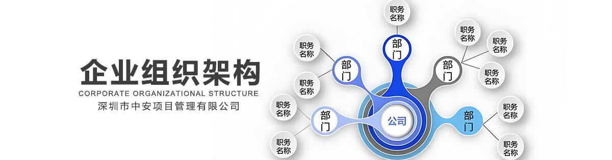 深圳市中安项目管理有限公司组织架构图