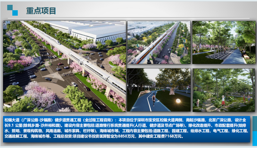 松福大道（广深公路-沙福路）-工程咨询案例